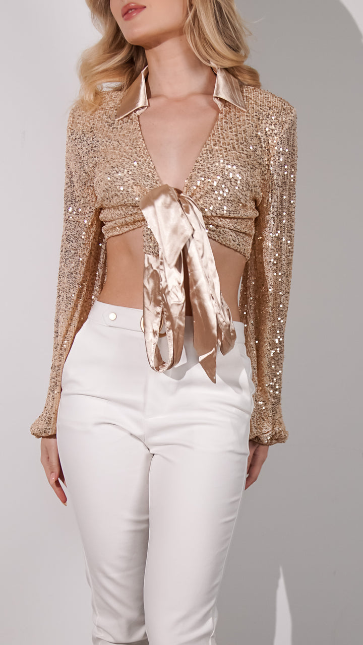 Tainy Sequin Crop Top