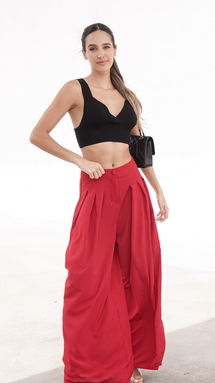 Sophie Wide Leg Pants in Red