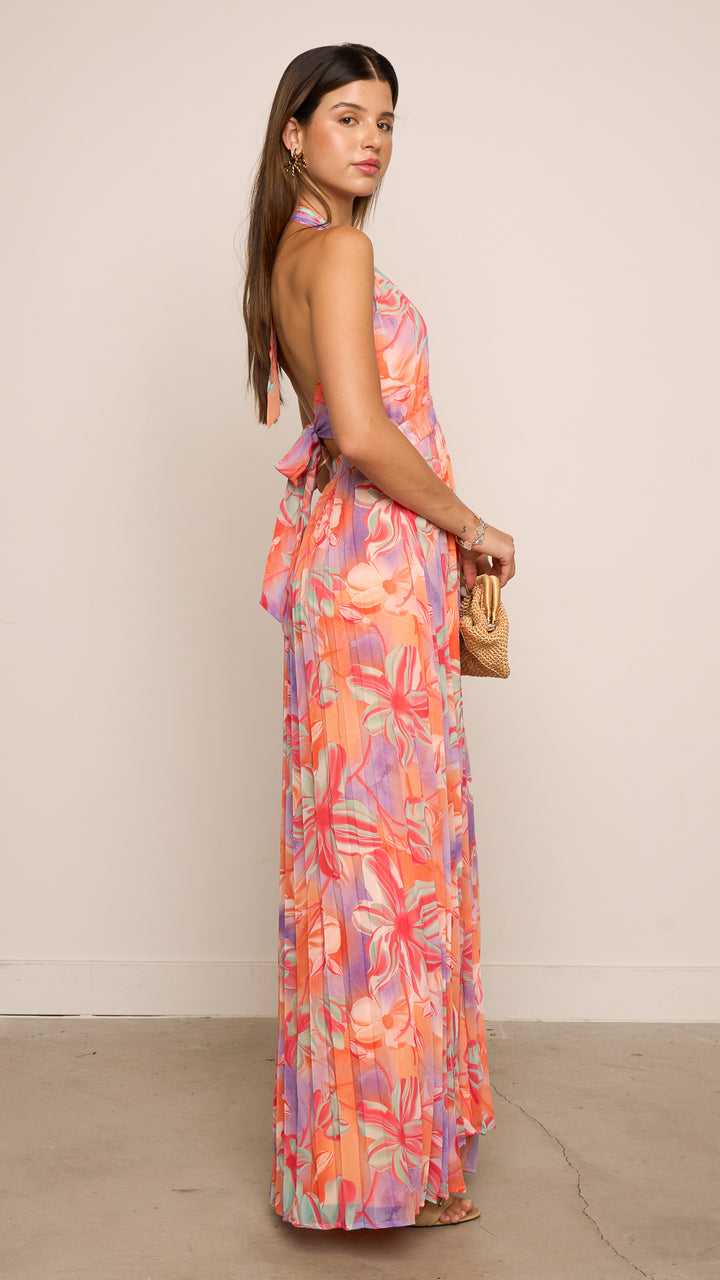 Stefanilla Maxi Dress